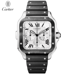 カルティエサントス ドゥ カル...