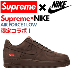 【新商品発売】【今年の新商品】... 【新商品発売】【今年の新商品】...