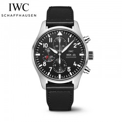 IW377709-パイロット・...