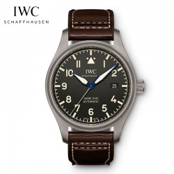 IW327006-パイロット ...