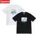 Supreme Heaven and Earth Tee Hand in Hand 天地油絵 メンズ レディース 半袖Tシャツ