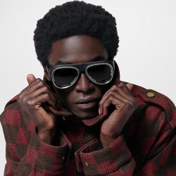 LV新しいサングラス...