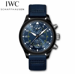 IW389008-パイロットウ...