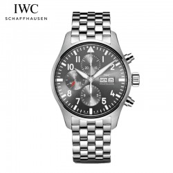 IW377719-パイロット ...