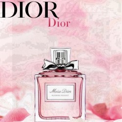 Dior ディオール ミスディ...