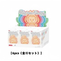 【6pcs（全種セット）】6p...