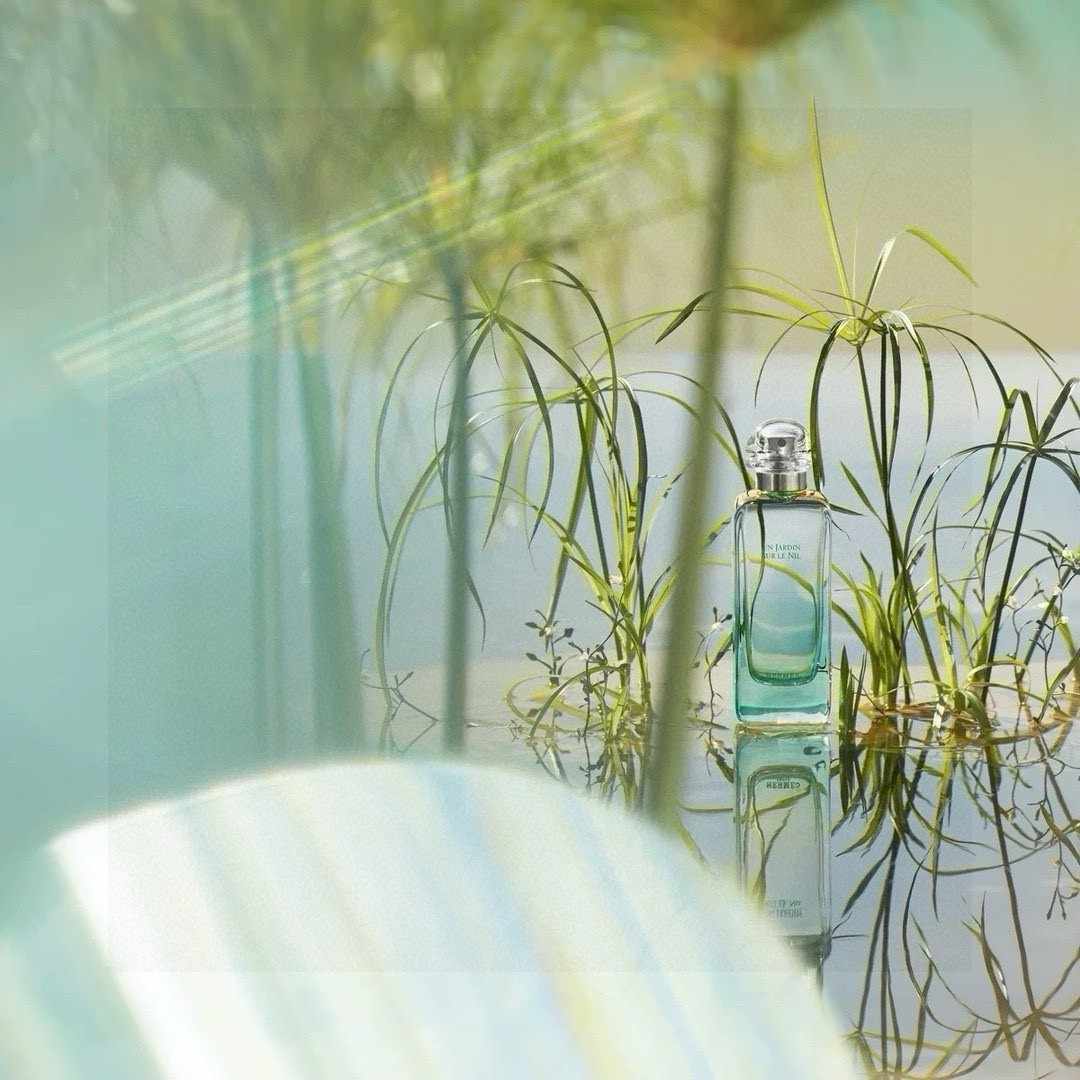 HERMÈS エルメス ユニセックス オー ド トワレ ニル エンヌ ジャルダン デ ニル